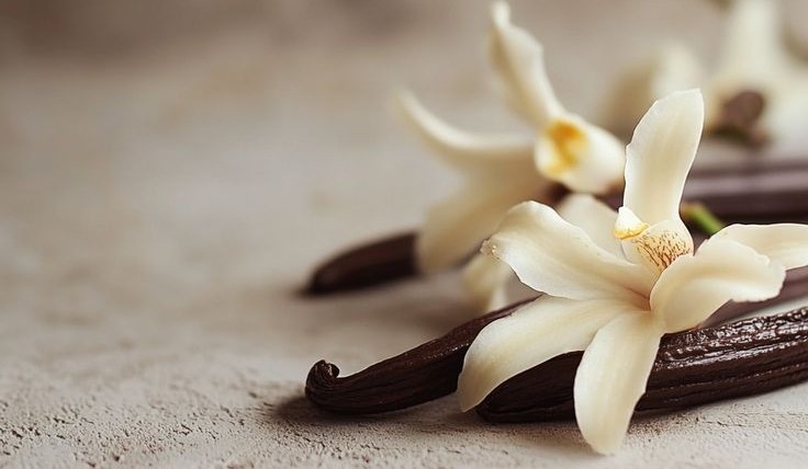 Baunilha na perfumaria: muito além do aroma doce