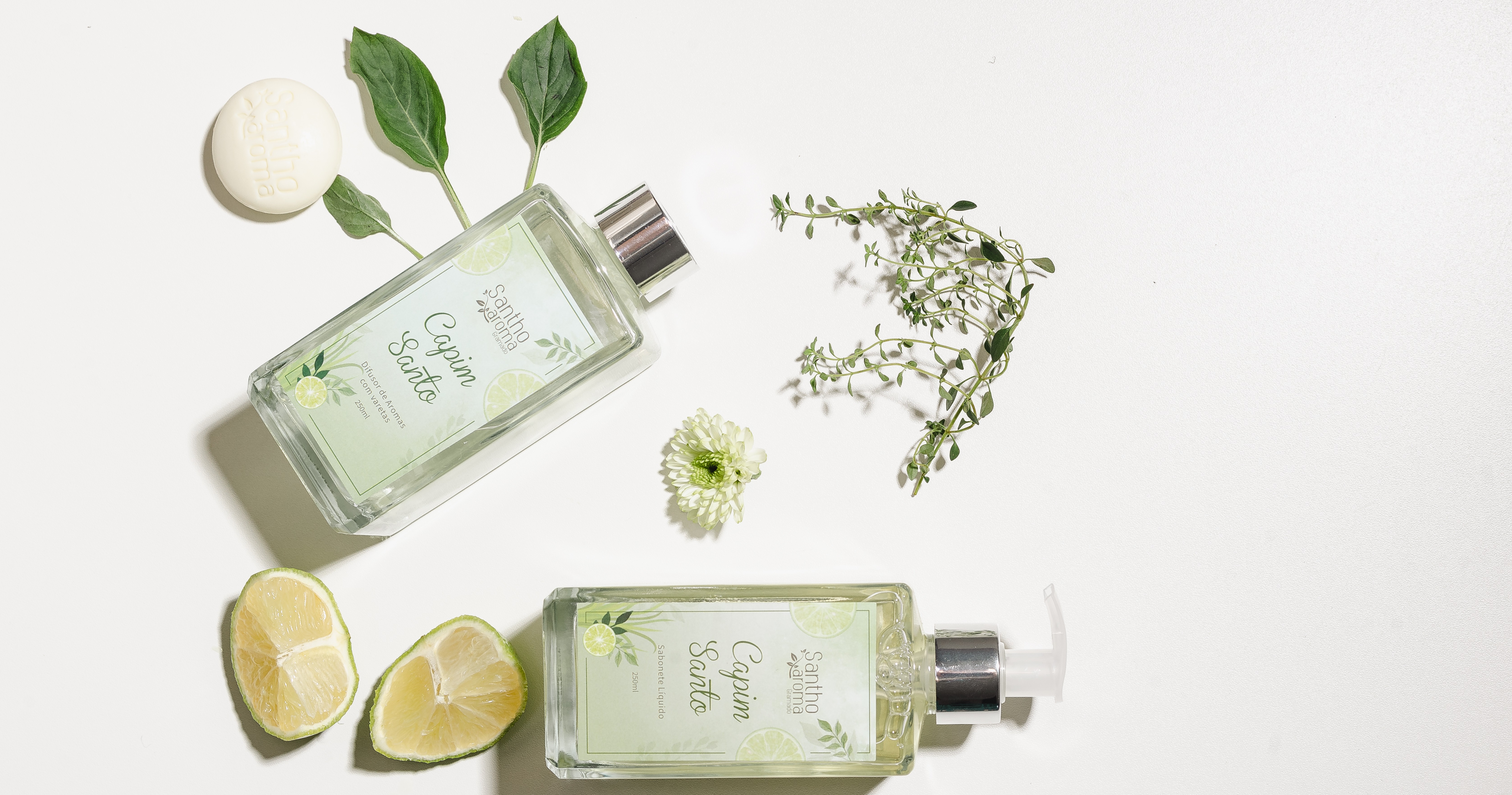 Capim-limão na perfumaria: frescor, equilíbrio e bem-estar no ambiente