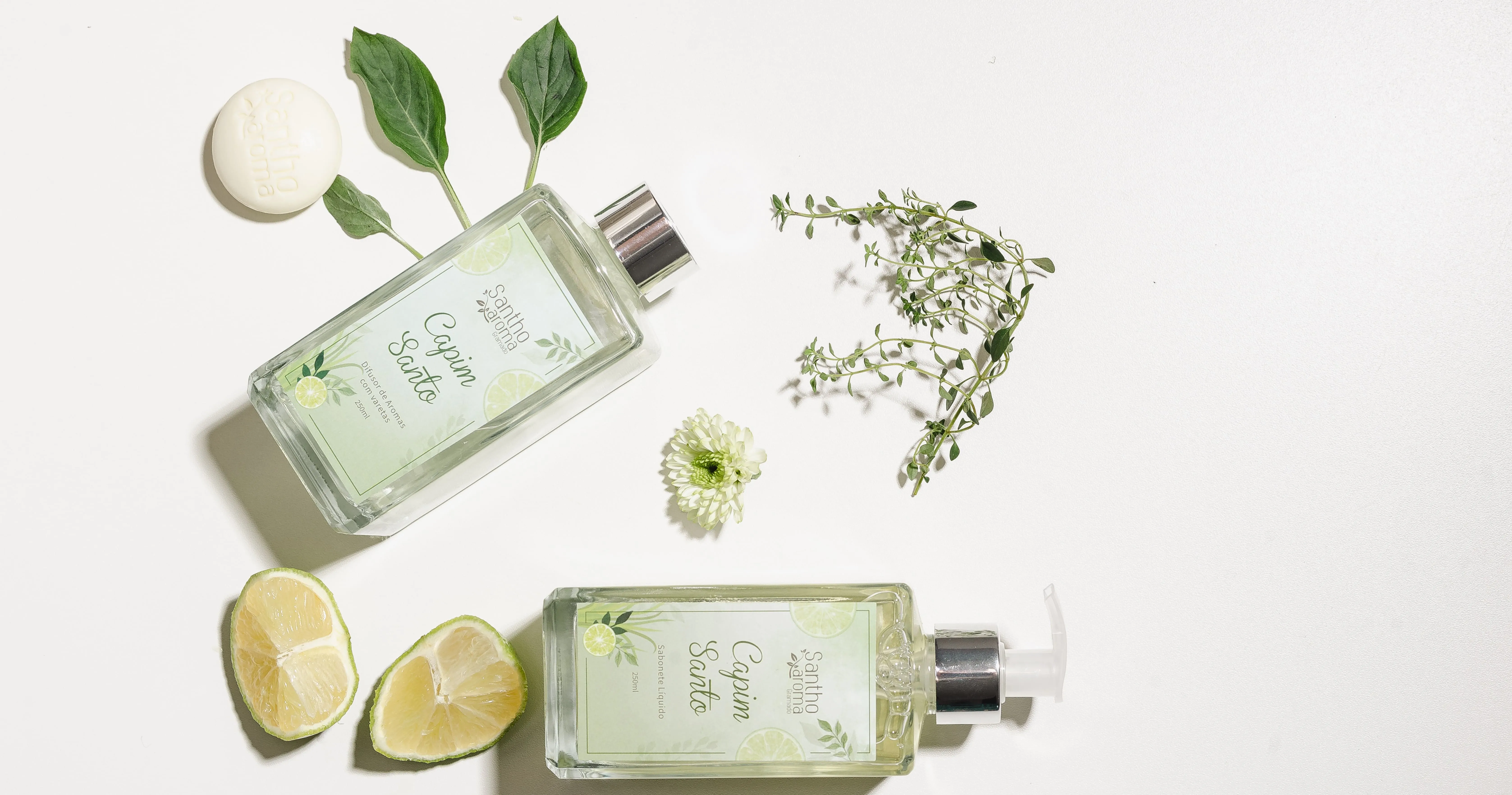 Capim-limão na perfumaria: frescor, equilíbrio e bem-estar no ambiente