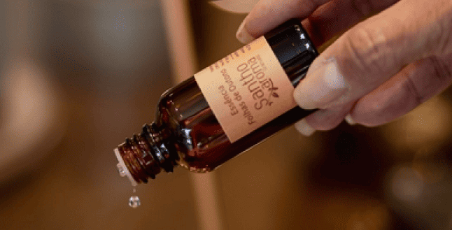 Qual a diferença entre essência e óleo essencial?