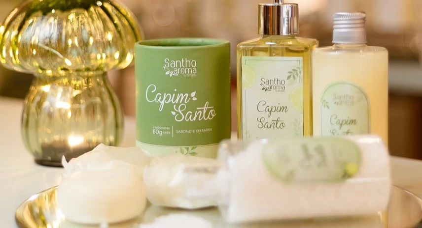 Qual o Melhor Produto para Perfumar a Casa? Descubra Qual Combina com a Sua Rotina